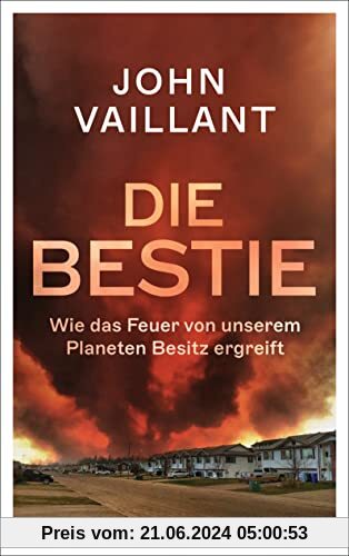 Die Bestie: Wie das Feuer von unserem Planeten Besitz ergreift – Sachbuch-Bestenliste #2 (DLF Kultur / ZDF / DIE ZEIT)